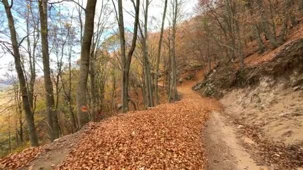 Höstlandskap Naturparken Montseny Provinsen Barcelona Spanien — Stockvideo