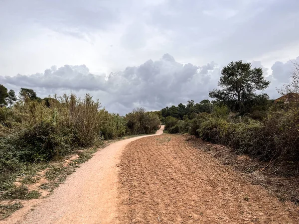 stock image Country road in the natural park of Collserola in the province of Barcelona in Spain