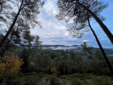 Barcelona 'da yağmurlu bir sonbahar sabahı Collserola doğal parkının manzarası