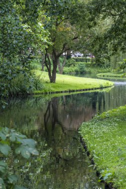 Arka planda gölet olan bir parkta gölet.