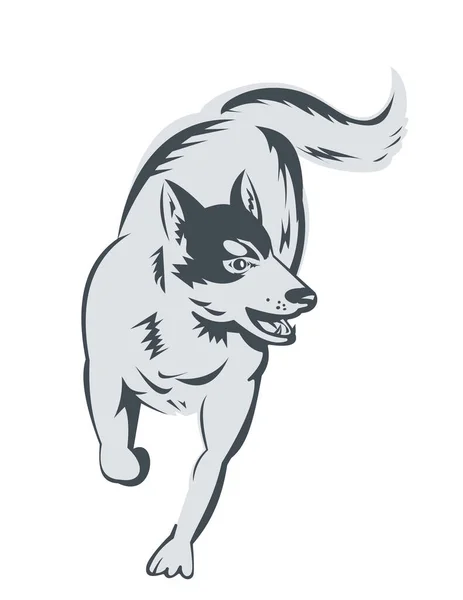 Retro Holzschnitt Illustration Eines Siberian Husky Der Von Vorne Auf — Stockvektor