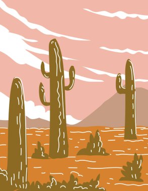 Güney Arizona 'da yer alan Saguaro Ulusal Parkı' nın, proje yönetimi veya federal sanat projesi tarzında yapılmış WPA poster sanatı..