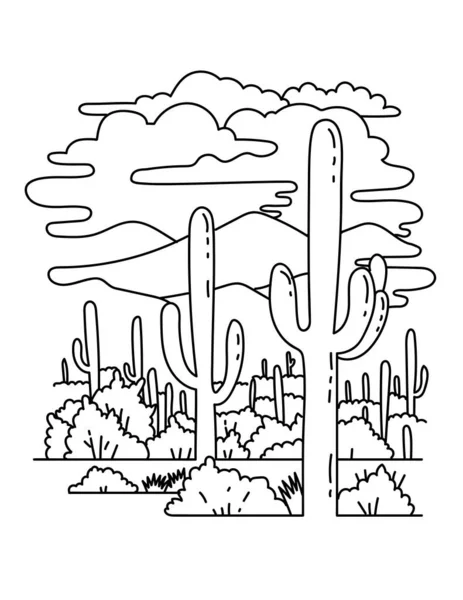 Mono Line Illustratie Van Saguaro National Park Het Zuiden Van — Stockvector