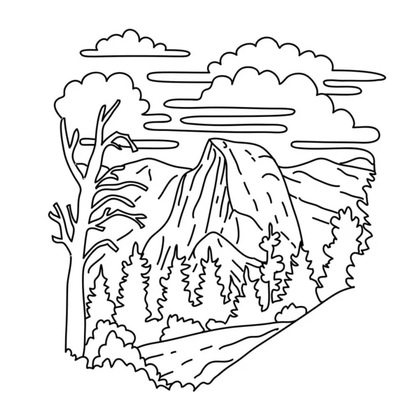 Monolinie Illustration Des Sentinel Dome Yosemite National Park Und Südlich — Stockvektor