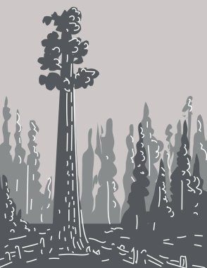 Mono line illustration of General Sherman tree in Sequoia National Park in southern Sierra Nevada mountains, California, United States done in monoline line drawing art style with grayscale shading