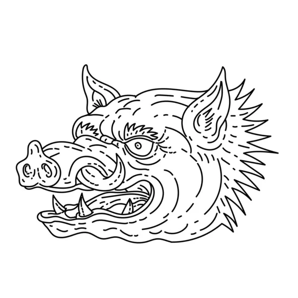 Mono Line Illustration Head Angry Razorback Wild Hog Feral Pig — Vector de stock