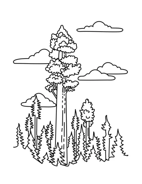 美国加利福尼亚州内华达山脉南部红杉国家公园谢尔曼将军树的单线画图 以黑白单线画艺术风格绘制 — 图库矢量图片