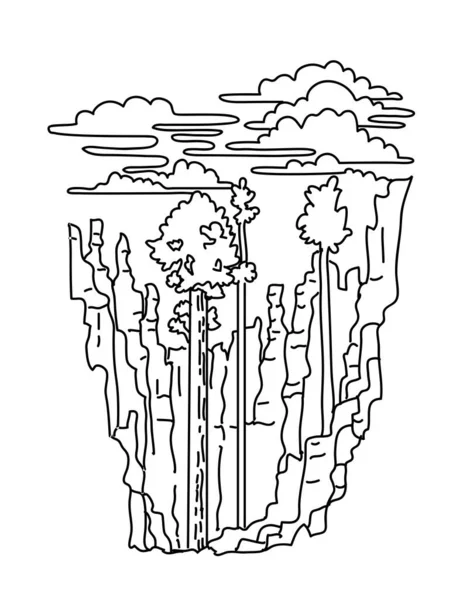 Mono Line Illustration Douglas Fir Hoodoos Bryce Canyon National Park — Stockový vektor