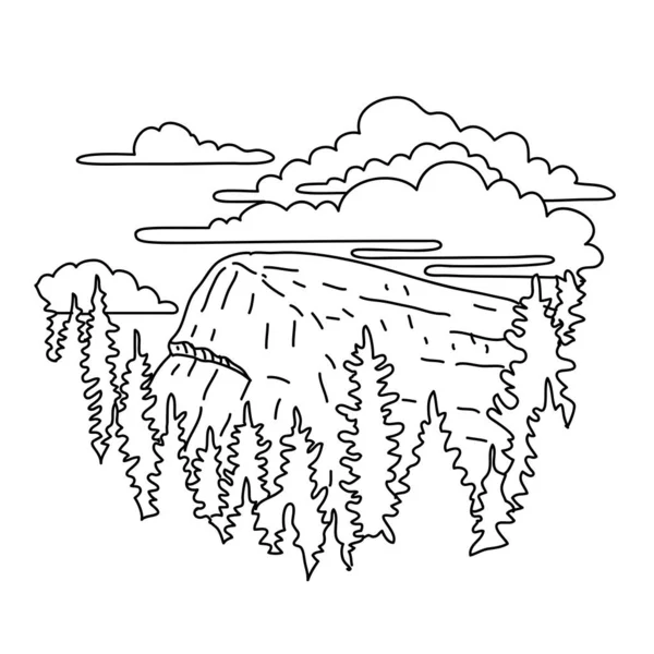 Mono Line Illustration Lembert Dome Tuolumne Meadows Tuolumne River Yosemite — Vector de stock