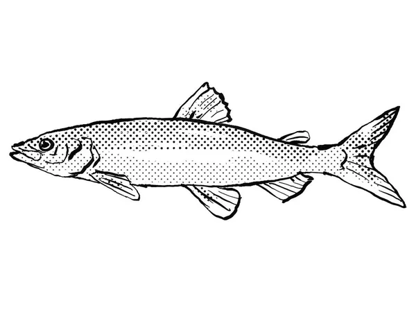 卡通画风格的线条 描绘的是科瑞格努斯水泡鱼 Coregonus Albula 或欧洲湾鱼 European Cisco 一种德国和欧洲特有的大西洋鱼 背景呈半色调 背景为黑白相间 — 图库照片