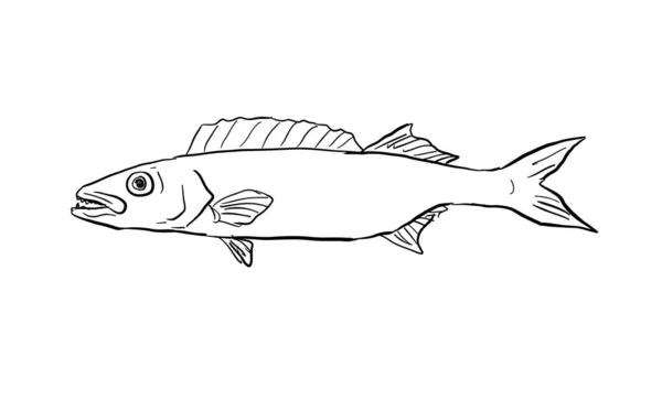 Cartoon Style Line Drawing Oilfish Ruvettus Pretiosus Species Snake Mackerel — Stock Vector