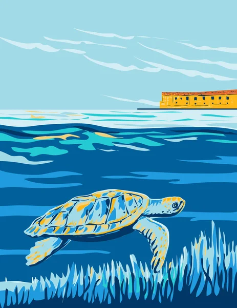 Wpa Poster Art Loggerhead Sea Turtle Dry Tortugas National Park — 图库矢量图片
