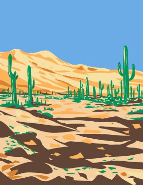 WPA poster art of Sonoran Desert National Monument, Arizona United States during summer done in works project administration style.