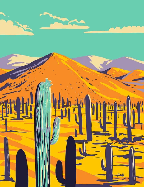 Wpa Poster Art Cacti Saguaro National Park Located Pima County — Stockvektor