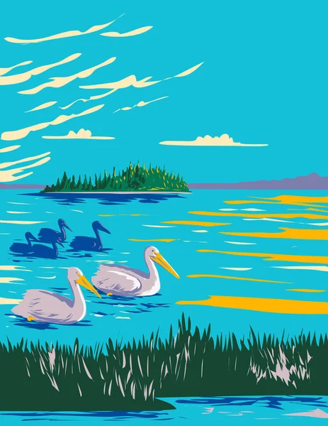 Wpa Plakat Sztuki Pelikanów Astotin Lake Ramach Elk Island National — Wektor stockowy