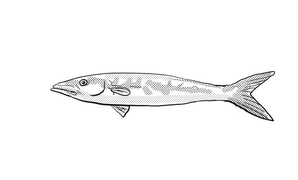 Cartoon Stijl Lijntekening Van Een Blackfin Barracuda Sphyraena Qenie Chevron — Stockfoto