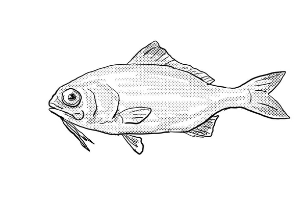 ハワイやハワイ諸島に固有の魚で 黒と白で隔絶された背景に半分の点が陰影をつけて描かれた漫画風の線画 — ストック写真