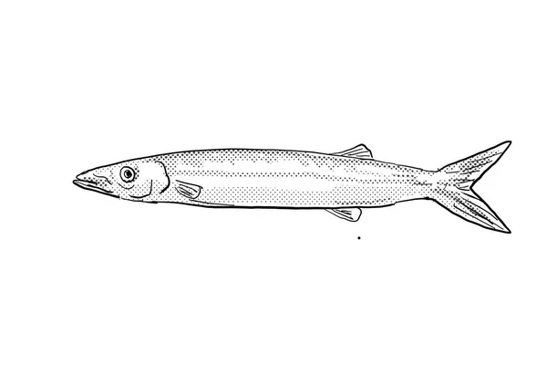 Zeichnung Cartoon Stil Einer Japanischen Barrakuda Sphyraena Japonica Eines Fisches — Stockfoto