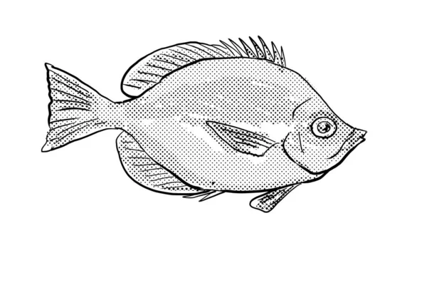Rysunek Linii Kreskówkowej Hemitaurichthys Thompson Thompson Butterflyfish Ryba Endemiczna Hawaje — Zdjęcie stockowe