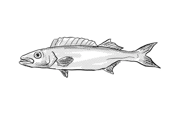Rysunek Linii Stylu Kreskówki Ruvettus Pretiosus Gatunku Makreli Ryba Endemiczna — Zdjęcie stockowe