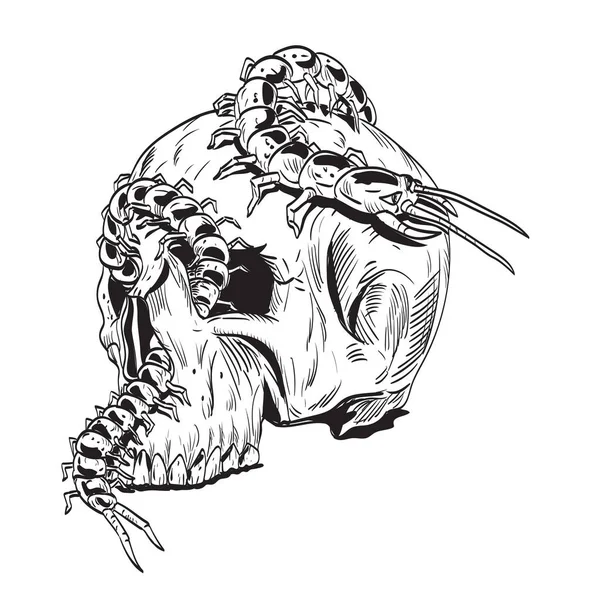 黒と白のレトロなスタイルで隔絶された背景の上から見る眼のソケット内に入るムカデを持つ人間の頭蓋骨の漫画のスタイルの描画やイラスト — ストックベクタ