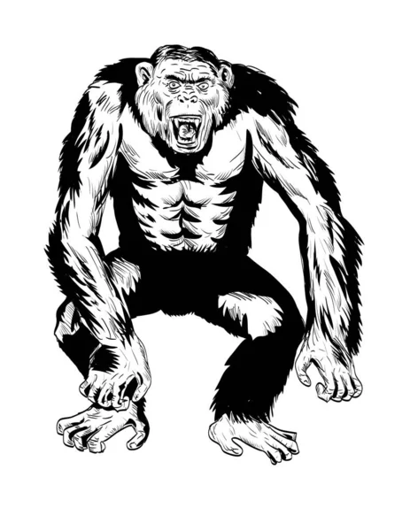 黒と白のレトロなスタイルで隔絶された背景の上から見る戦闘姿勢で怒って積極的なチンパンジーの漫画スタイルの描画やイラスト — ストックベクタ