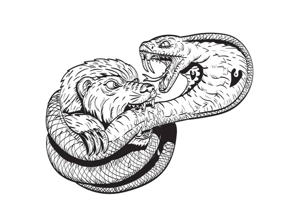 Çizgi Roman Tarzı Çizim Ballı Porsuğun Kral Kobra Yılanını Isırırken — Stok Vektör