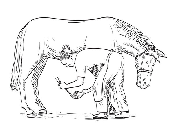 Comics style drawing or illustration of a female farrier placing horseshoe on the horse hoof viewed from the side on isolated background in black and white retro style.
