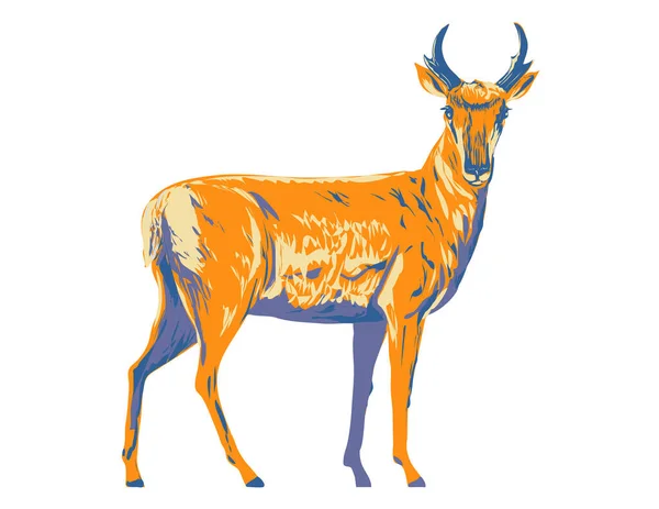 Wpa Poster Art Pronghorn Antilocapra Americana American Antelope Viewed Side — Stock Vector