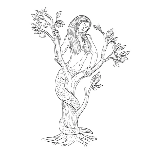 Desenho Arte Linha Ilustração Draconcopedes Uma Criatura Serpentina Semelhante Uma —  Vetores de Stock