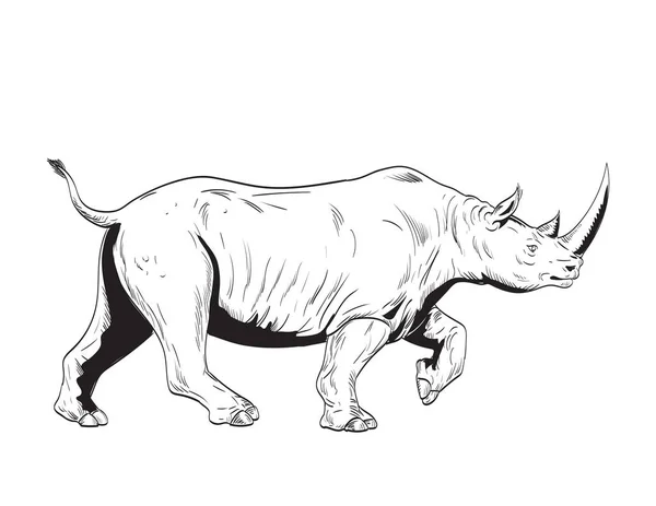 Disegno Stile Fumetto Illustrazione Rinoceronte Rinoceronte Ungulato Dalle Dita Dispari — Vettoriale Stock