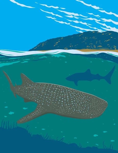 Wpa Plakatkunst Zur Beobachtung Von Walhaien Oslob Provinz Cebu Auf — Stockvektor