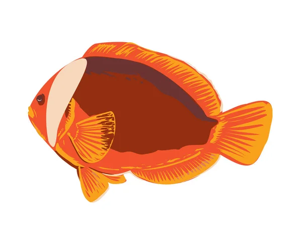 Wpa Poster Art Red Anemonefish Australian Clownfish Amphiprion Rubrocinctus Visayan — Vettoriale Stock