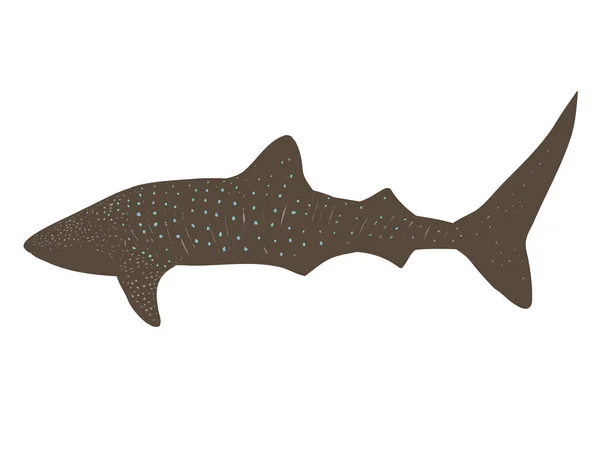 Wpa Plakat Sztuki Rekina Wieloryba Lub Typus Rhincodon Pływanie Oglądane — Wektor stockowy
