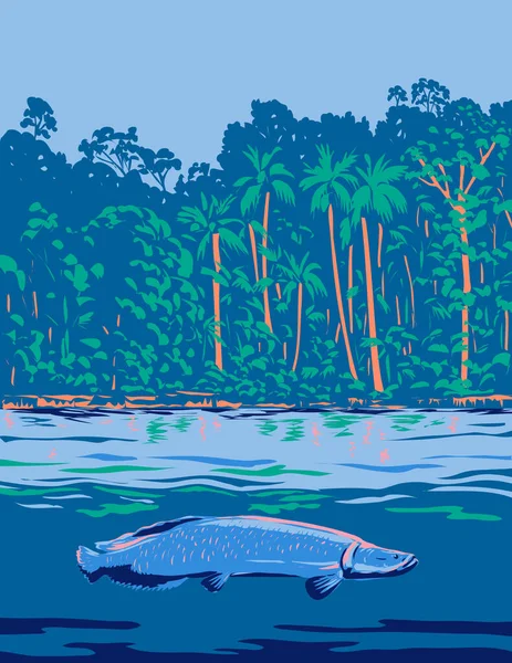 Wpa海报艺术的作品有Arapaima Pirarucu或Paiche 一种原产于南美洲亚马逊河的阿拉伯裔语言 属于作品管理或装饰艺术风格 — 图库矢量图片