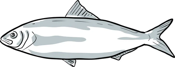 Alabama Shad Fish Florida Cartoon Drawing — Stock Vector