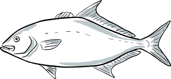 Almaco Jack Fish Florida Cartoon Drawing — Stock Vector
