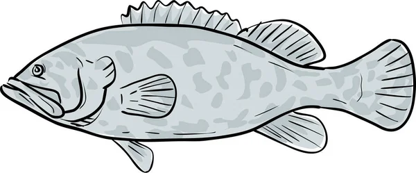 Atlantic Goliath Grouper Fish Gulf Mexico Cartoon Drawing — Stock Vector