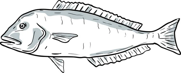 Blueline Pesce Piastrellato Golfo Del Messico Disegno Dei Cartoni Animati — Vettoriale Stock