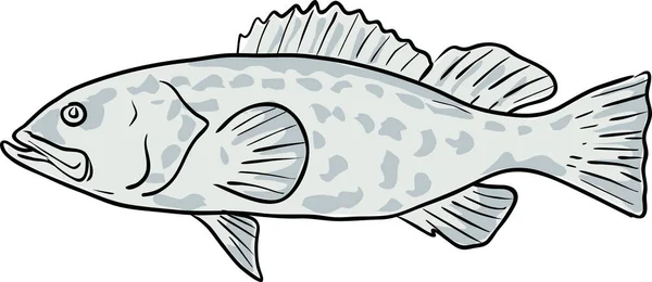 Black Grouper Fish Gulf Mexico Cartoon Drawing — Stock Vector