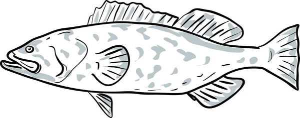Gag Cernia Pesce Golfo Del Messico Disegno Dei Cartoni Animati — Vettoriale Stock