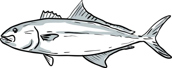 Větší Amberjack Ryby Mexický Záliv Kresba Karikatur — Stockový vektor