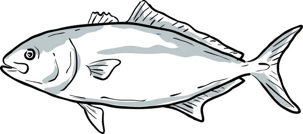 Ricciola Minore Pesce Golfo Del Messico Disegno Dei Cartoni Animati — Vettoriale Stock