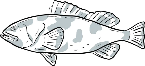 Red Grouper Peixe Golfo México Desenho Desenhos Animados — Vetor de Stock