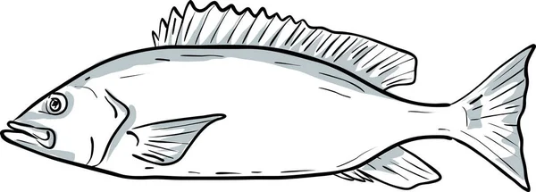 Silk Snapper Fish Gulf Mexico Cartoon Drawing — Stock Vector
