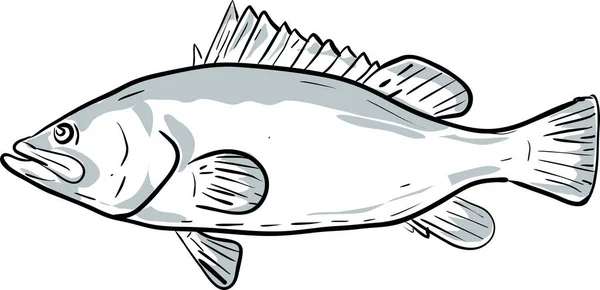Varsavia Cernia Pesce Golfo Del Messico Disegno Dei Cartoni Animati — Vettoriale Stock