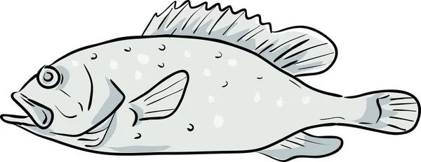 Yellowedge Grouper Fish Gulf Mexico Cartoon Drawing — Stock Vector