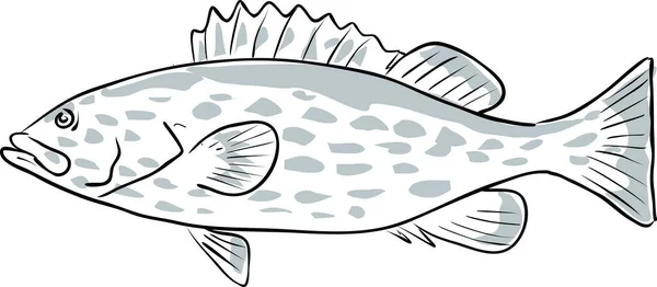 Yellowfin Grouper Peixe Golfo México Desenho Dos Desenhos Animados — Vetor de Stock
