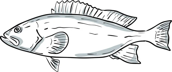 Yellowmouth Grouper Fish Gulf Mexico Cartoon Drawing — Stock Vector