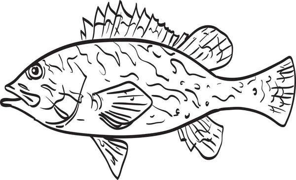 Black Yellow Rockfish Line Drawing Cartoon — Stock Vector